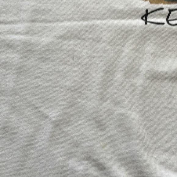 Vintage Key West Air waves Tee Stedman by Hanes XL tropical vacation 90s iguana - Picture 7 of 11